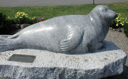 Image of Andre The Seal